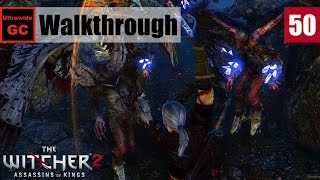 The Witcher 2 [#50] - Chapter 2 Iorveth - The Queen Harpy Contract || Walkthrough