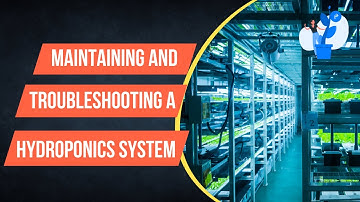 Maintaining And Troubleshooting A Hydroponics System. Hydroponic Masterclass|+91-9870-424-425.