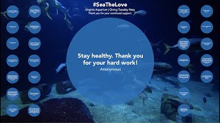 Thank You for Your Support | Virginia Aquarium