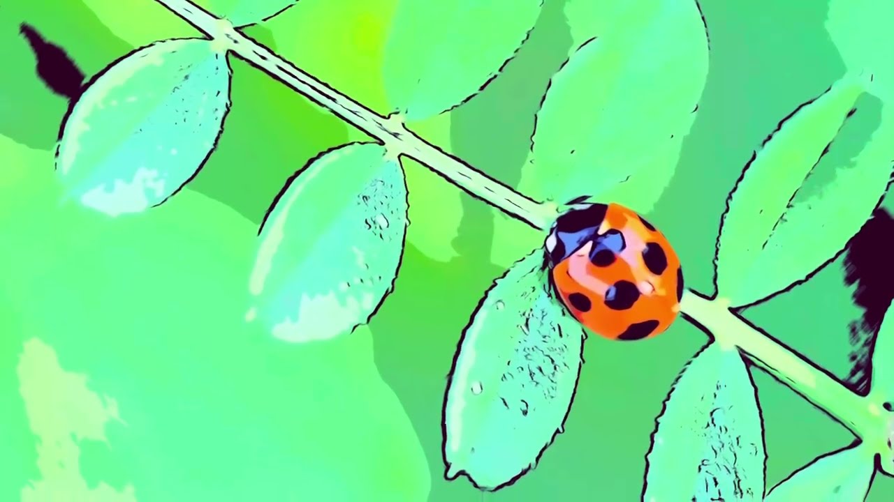 Ladybug Sign (Ladybug Riddim)
