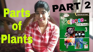 CBSE Board Class 3 || Science || Chapter 2 || Parts of Plants part 2