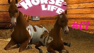 Horse Life Germanhd Bestes Spiel Ever