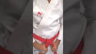 KarateGi Arawaza Kata Deluxe Evo WKF Approved Kit Premier League (2 giacche   1 pantalone)