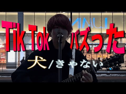 この曲をきっかけにあいみょん所属の事務所からスカウトされた!?Tik Tokでバズった曲を歌う  犬/きゃない 【新宿路上ライブ-2022.2.12】