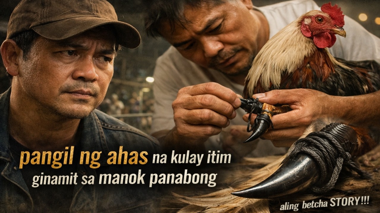 PANGIL NG AHAS NA KULAY ITIM GINAMITSA MANOKPANABONG|Aling Betcha Story