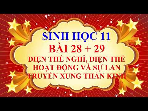 Video Sinh học lớp 11 - Bài 28 29 - Điện thế nghỉ , điện thế... - YouTube
