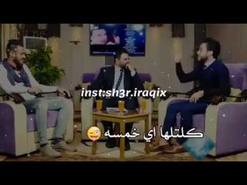 طولج شبر نعناع شعر عن الكصيرة
