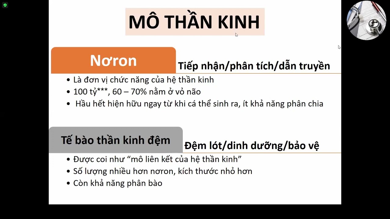 MÔ THẦN KINH | ThS. Trần Thị Thanh Bình