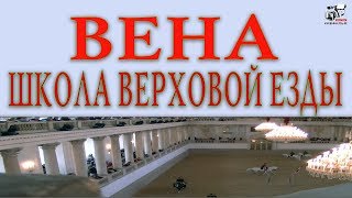 Школа верховой езды Вена. Лошади. Тренировка лошадей. Ипподров в Вене. Школа верховой езды Вена. Лошади. Тренировка лошадей. Ипподров в Вене.