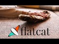 Flatcat  your next robot is a pet by jetpack cognition lab