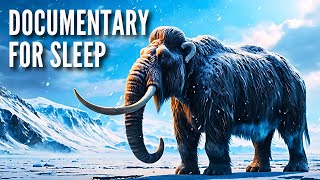 What Was Earth Really Like During the Ice Age?  | Documentary For Sleep