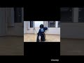 霞払 Kasumi-Barai #katana #kenjutsu #martialars #batto#刀 #抜刀