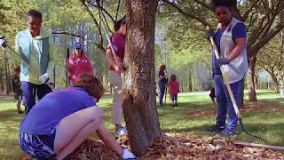 City of Raleigh Volunteer   Adopt a Park Program