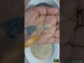 Poppy Seeds | Khas Khas | खसखस | Everyday Life