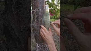 Be Sure To Remember This Trick How To Easily Make A Hole In Gl?