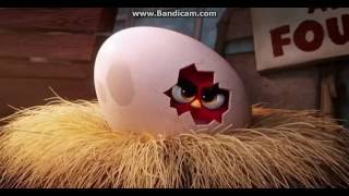 The Angry Birds Movie - Red's Angry Story