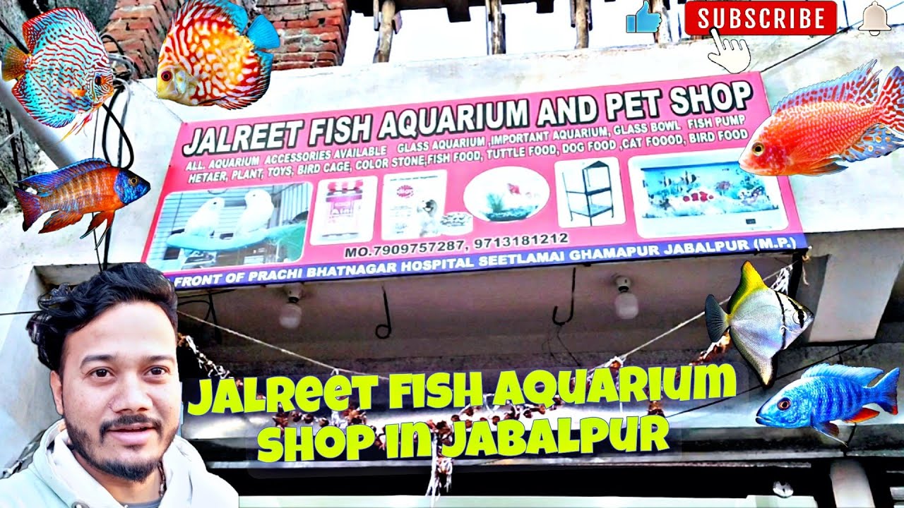 Jabalpur ki new aquarium shop Jalreet 🐠 🦞Aquarium And Pet Shop 🐩🐈‍⬛