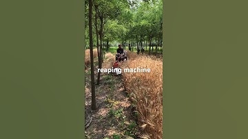 Multifunctional crawler rotary cultivator with more than 30 functions. #caterpillar #cultivators