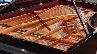 Bösendorfer Imperial | Made 2002 | PianoWorks by PianoWorksAtlanta 2,368 views 1 year ago 3 minutes, 19 seconds