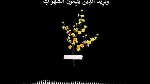 وَاللَّهُ يُرِيدُ أَن يَتُوبَ عَلَيْكُمْ 🤍🕊️آيات قصيرة بصوت جميل يريح القلب