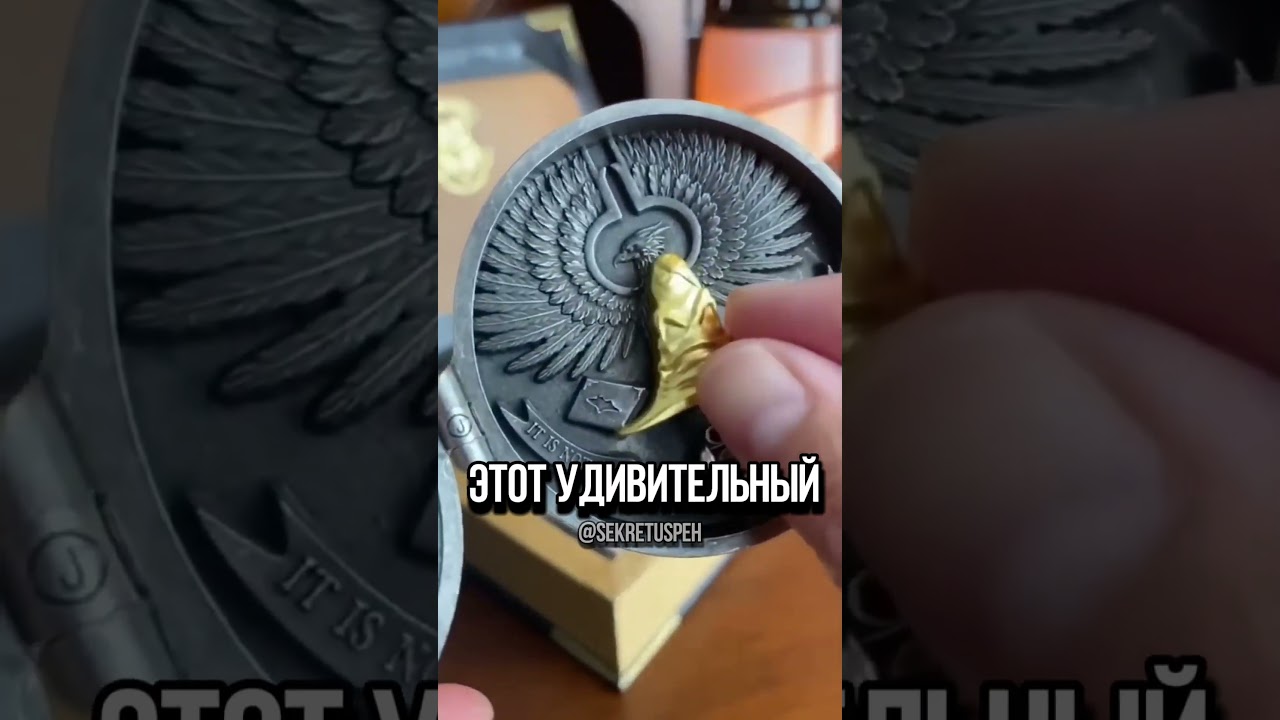 Это лучший подарок для фанатов Гарри Поттера 