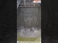 Sludge Unleashed: Why Every Dam Needs This Power Wash