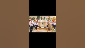 Lan thách đấu Capybara thi uống trà sữa khổng lồ #tomtepchannel #capybara #funny #ytshorts