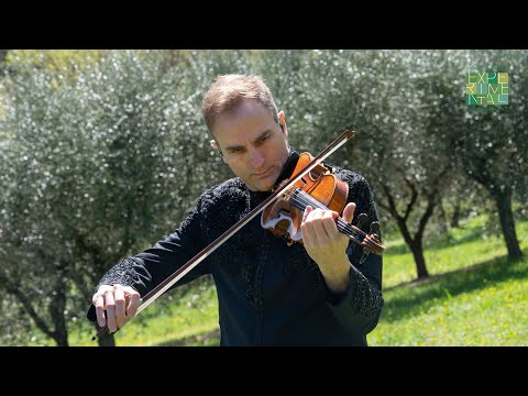 Stefan Milenkovich | Assisi @ Experimental Vim 2025