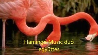 Video thumbnail of "Flamingó music 2 forintos dal"