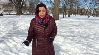 Qor ostidagi Vashingtonda hukumat qulflangan