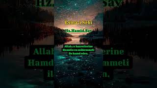 Hz.hamid.sav