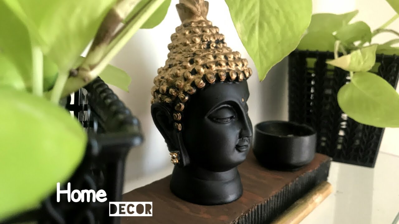 Home Decor Money Plant Money plant Decor Ideas home DecorationDecoration ideas for your