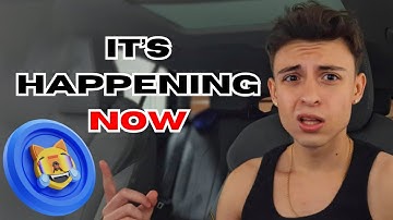 FINAL WARNING: This Decides Everything For Mog Coin!