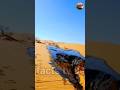 The Truth of Saudi Arabia’s Land: Where Oil Becomes 😱🏗️🛢️ a Curse for People” #shorts