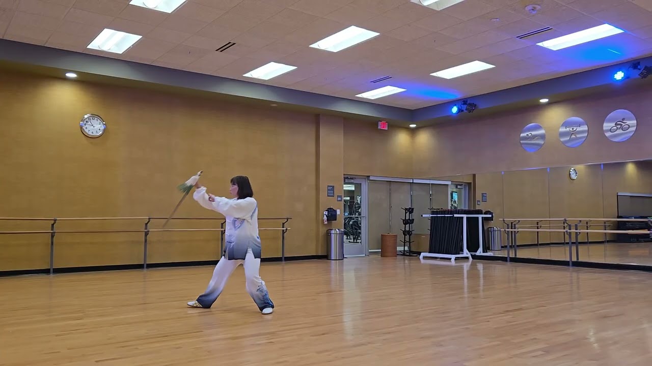 Traditional Chen Style Taijijian