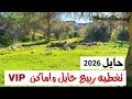 ربيع حايل 2026 تفضل شف الطبيعه