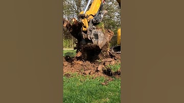 Watch This Caterpillar 305E2 Dig Up a Tree Stump Like a Pro - Amazing!