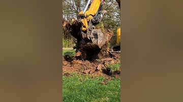 Watch This Caterpillar 305E2 Dig Up a Tree Stump Like a Pro - Amazing!