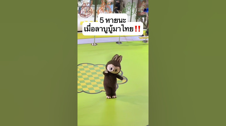 5 หายนะ เมื่อลาบูบู้มาไทย‼️ต่อคิวไป4 ชั่วโมง... #popmart #ลาบูบู้ #แจ่มใส #jamsai #พี่แจ่มใส