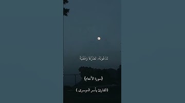 تلاوه الشيخ ياسر الدوسري