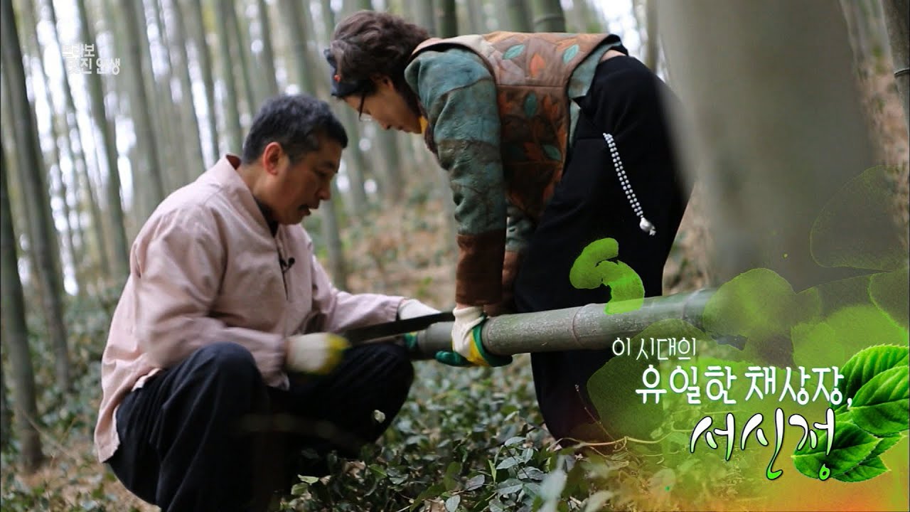 [브라보 멋진인생29-1] 이시대 유일한 채상장, 서신정