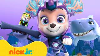 paw patrol go swimming sharks paw patrol nick jr
