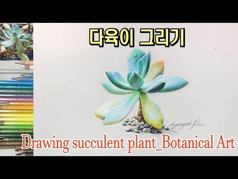Drawing succulent plant__Botanical Art 다육이 그리기