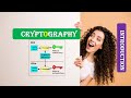 Cryptography Explained: A Beginner's Guide 🔐