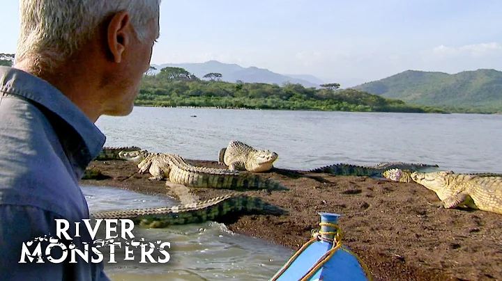 Greatest Moments With Crocodiles, Alligators & Gar | River Monsters