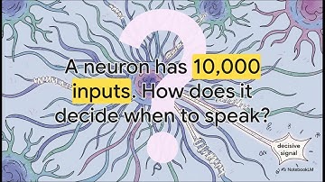 The Brain s Elegant Algorithm