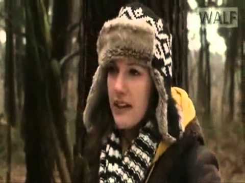 "Мы все любим футбол" с Мерьем Узерли - YouTube Евгений Александров