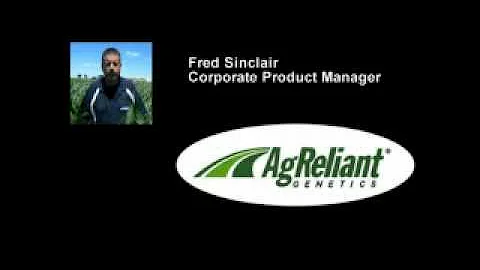 Midwestern Corn and Soybean Crop Observations.  Fr...