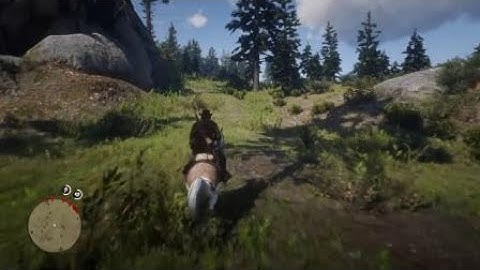 Red Dead Redemption 2 - Rescuing Sean from Blackwater