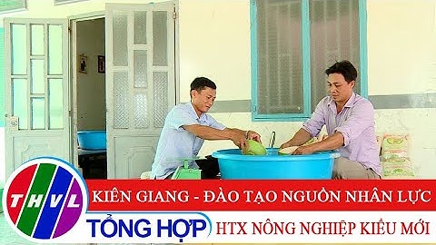 Nông nghiệp bền vững: Kiên Giang - Đào tạo nguồn nhân lực HTX nông nghiệp kiểu mới